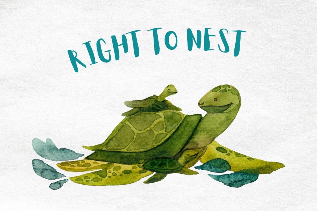 RIGHT TO NEST